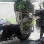 Penampakan sepeda motor berjenis sport Yamaha YZF R25 dipakai untuk berjualan sayur di Magelang, Jawa Tengah. foto: dream.co,id