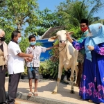 H. Samwil, Anggota Fraksi Partai Demokrat DPRD Jatim dari Dapil Gresik - Lamongan menyerahkan hewan kurban untuk konstituen yang terdampak Covid-19. foto: istimewa