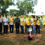 Kegiatan penanaman trembesi di arteri Suramadu.