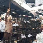 Wawali Suyitno didampingi Kadisperindag Ruby Hartoyo saat sidak di Pasar Burung Empunala. Foto: YUDI EP/BANGSAONLINE