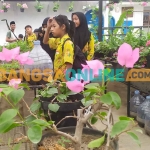 Siswa SDN 1 Kepanjen Jombang saat Field Trip di Beenyo Farm. Foto: AAN AMRULLOH/BANGSAONLINE