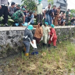 Petugas saat mengevakuasi jasad bayi yang ditemukan di pinggir sawah.