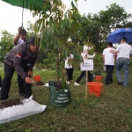 Di bawah guyuran hujan, bersama peserta action learning program kampung iklim bersama Wali Kota Maidi menanam pohon duren di Ngrowo Bening. Foto: HENDRO SUHARTONO/ BANGSAONLINE