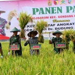 Kepala Staf Angkatan Darat, Jenderal Dudung Abdurachman, saat menghadiri panen raya di Desa Mojoarum, Kecamatan Gondang, Kabupaten Tulungagung.