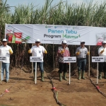 Dirut PG Dwi Satriyo Annurogo (tiga dari kiri) saat panen tebu program makmur di Desa Ganjaran, Kecamatan Gondanglegi, Kabupaten Malang.