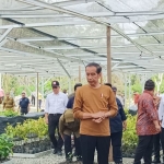 Jokowi Sebut Komitmen Indonesia Terhadap Lingkungan Dimulai dari IKN. Foto: Ist