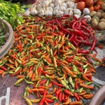 Foto: Sulthon/BANGSAONLINE.com