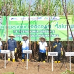 Direktur Utama Petrokimia Gresik, Dwi Satriyo (tiga dari kiri) saat tanam tebu dalam Program Makmur Menteri BUMN. Foto: ist.