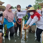 Gubernur Khofifah (kerudung merah) saat melakukan penanaman mangrove di kawasan mangrove dan cemara laut Desa Labuan, Kecamatan Sepulu, Bangkalan, Kamis (4/11/2021). foto: AHMAD FAUZI/ BANGSAONLINE