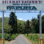 Perbaikan dilakukan sejak gapura sampai ujung menuju Pantai Papuma.