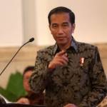 Joko Widodo. foto: tempo.co