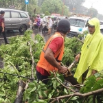 Pohon Tumbang di Jalan A Yani, dan pos pantau KTL (Kawasan Tertib Lalu lintas) terbalik terkena angin dan hujan deras, saat dievakuasi warga.
