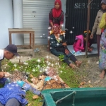 Korban kecelakaan pikap akibat rem blong di Desa Kertagenah Daya, Kecamatan Kadur, Kabupaten Pamekasan.