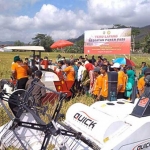 Panen padi organik di Trenggalek.