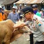 ?

Kapolres Bondowoso AKBP M Sabilul Alif SH, SIK sidak di pasar hewan Kelurahan Kademangan Bondowoso.foto:yogik mz/bangsaonline