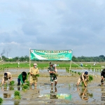 Pelaksanaan Tanam Serentak di Desa Karangtinoto, Kecamatan Rengel, Kabupaten Tuban, Selasa (16/2/2021). (foto: ist)