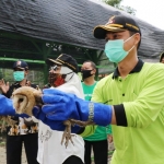 Bupati Bojonegoro Anna Muawanah melakukan pelepasan burung hantu.