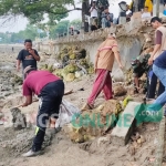 Warga dibantu Muspika Paciran sedang kerja bakti mempebaiki TPT pantai. 