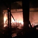 Api melahap 3 bangunan rumah dan 1 kandang sapi di Prambon, Sidoarjo.