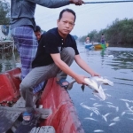 Kades Sukorejo Fathur Rahman menunjukkan ikan-ikan di Kali Lamong yang mati. foto: ist.