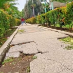 Kondisi beton di jogging track Alun-Alun Bangil tampak sudah banyak retak dan mengelupas.
