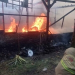 Petugas DPKP Surabaya saat melakukan pemadaman api di sebuah rumah yang berada di RT 2, RW 2, Lakarsantri Surabaya. Foto: Ist