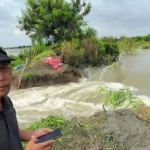 Camat Cerme Umar Hasyim (kiri) saat mengecek tanggul Kali Lamong di Desa  Jono yang jebol. Foto: SYUHUD/ BANGSAONLINE