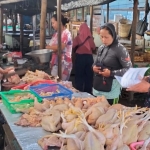Petugas saat melakukan monitoring daging ayam di pasar. (Ist)