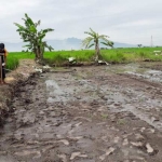 Pembukaan area hijau di Kepuhanyar, diduga salahi RTRW. foto: YUDI EP/ BANGSAONLINE