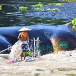 Air sungai Bengawan Solo berwarna hitam.