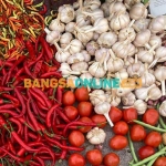Foto: Sulthon/Bangsaonline.