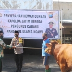 Kapolres Ngawi AKBP I Wayan Winaya menyerahkan sapi kurban kepada PCNU Ngawi melalui KH Ulinnuha Rozy.