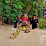 Korban banjir di Desa Sobontoro, Kecamatan Balen, Sabtu (26/11/2022) kemarin