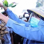 Gubernur Jawa Timur Khofifah Indar Parawansa saat petik perdana kelengkeng di Kebun Kelengkeng, milik Bunadi di Desa Wonogriyo Kecamantan Tikung Kabupaten Lumajang, Minggu (27/9). foto: ist/ bangsaonline.com