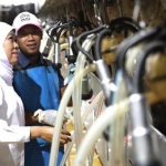 Gubernur Jawa Timur saat melakukan kunjungan kerja di PT. Greenfields Indonesia, Malang, Kamis(5/12). foto: istimewa/ bangsaonline.com