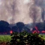 HANGUS - Kandang ayam petelor yang berlokasi di tengah sawah Desa Sawo Kecamatan Jetis Mojokerto dilalap api. foto: istimewa