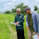 Giat pemantauan lapang di Desa Kenep, Kecamatan Beji.
