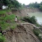 Pohon mangga besar di tepi sungai kaligandong terseret kedalam sungai. Foto: Eky Nurhadi/BANGSAONLINE.