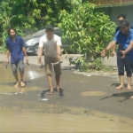 Warga saat menebar ikan lele di kubangan jalan yang rusak.