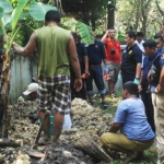 Proses pembongkaran bayi yang dibuang di sungai Sine di Pemakaman Desa Dungus. foto: ZAINAL ABIDIN/ BANGSAONLINE