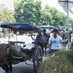 Dokar dengan kusirnya berjejer di sekitar Alun-Alun Gresik menunggu penumpang. foto: SYUHUD/ BANGSAONLINE