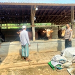 Pemantauan dan imbauan kepada peternak dan pedagang hewan di Kabupaten Pamekasan oleh Polres Pamekasan.