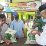 Tikor kecamatan sedang mengecek kualitas beras. 