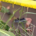 Kondisi korban sebelum dievakuasi dari sungai kecil pinggir Jalan Raya Sengon–Bakalan.