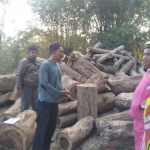 Petugas saat mendatangi lokasi penemuan 233 batang Kayu Sono yang diduga hasil illegal logging di Kenduruan.
