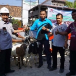 Penyerahan Kambing kepada 55 warga penggarap lahan milik Semen Indonesia.