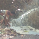 Ketua LSM Lingkungan Kuda Putih Slamet Riyadi saat mengambil sampel limbah pengolahan karet di aliran sungai itu.