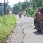 Jalan aspal di Baujeng - Randupitu mulai mengelupas.