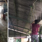Satgas Saber Sawang saat membersihkan pasar dari sawang atau jaring-jaring laba-laba.
