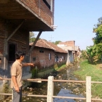 Anak sungai Wrati di Desa Gempol mengalami pendangkalan.